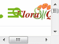 http://blumen.floraqueen.com/funeralFlowerGermany.htm